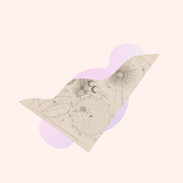 Website Development Agency