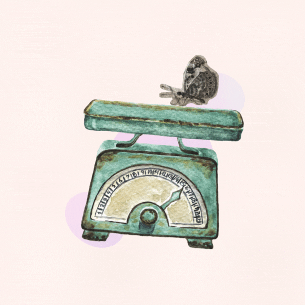 Website Development Agency